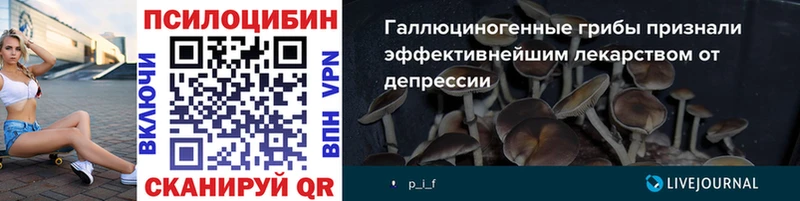 Купить где  Новокузнецк  Псилоцибиновые грибы GOLDEN TEACHER 